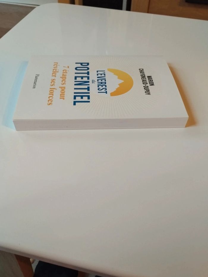 l'everest du Potentiel - photo numéro 3