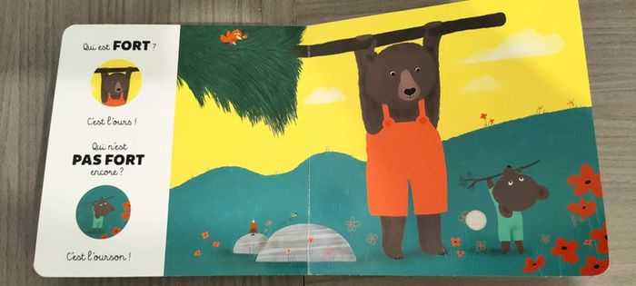 Livre sonore bébé j'apprends les contraires - photo numéro 3