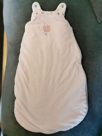 Gigoteuse sergent major