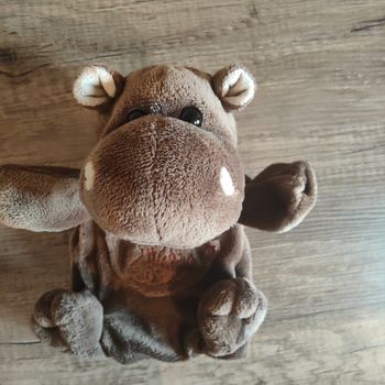 Hippopotame marionnette histoire d ours