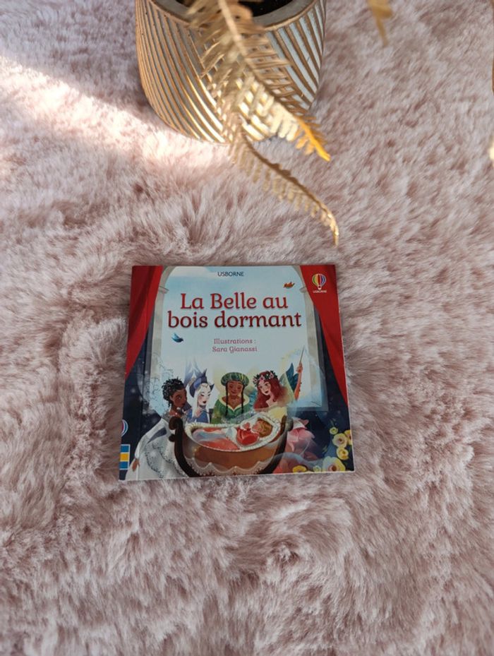 Livre la belle au bois dormant