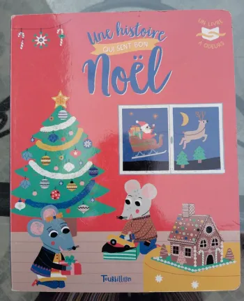 Livre ''Une histoire qui sent bon Noël''