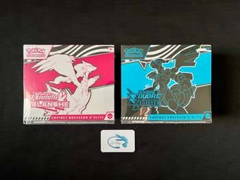 Pokémon ETB Foudre Noire & Flamme Blanche EV 10.5 : 189€