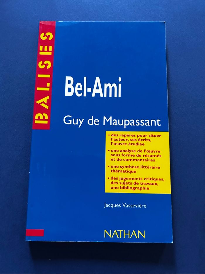 Œuvre BALISES Bel ami