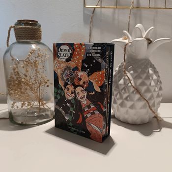 Manga demon slayer coffret collector 19