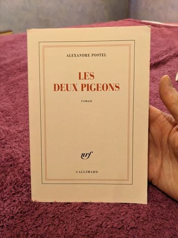 Les deux pigeons de Alexandre postel