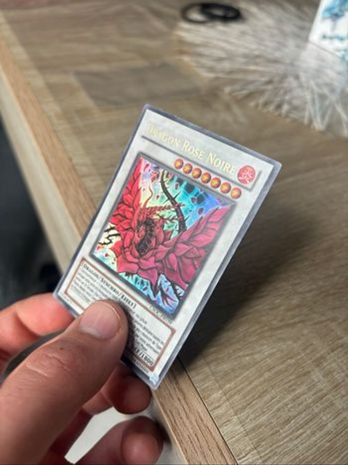 Dragon Rose Noire (UR) csoc-fr039 - photo numéro 10