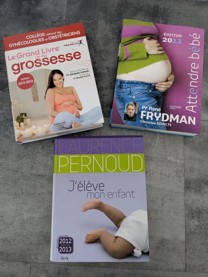 Lot de 3 livres sur la grossesse et la maternité