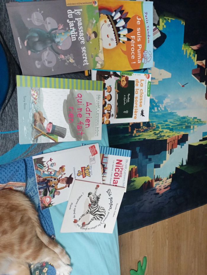 Lot petits livres apprentissage de la lecture