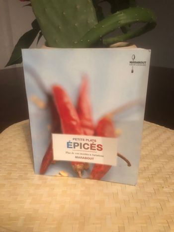 Petits plats épicés - Plus de 100 recettes et variations - Marabout 