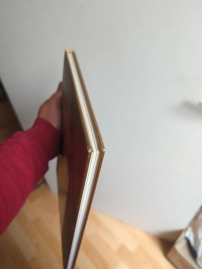 La splendeur des Mayas - photo numéro 3