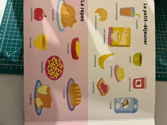 Mes 500 tout premiers mots - photo numéro 7