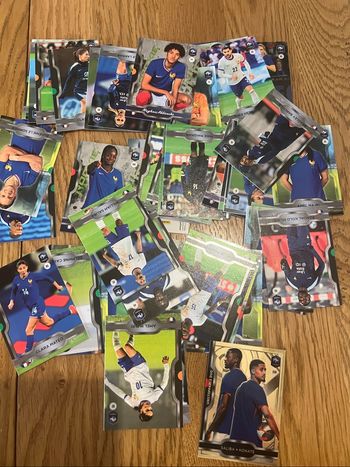 Cartes Panini Bleu collectif 2025