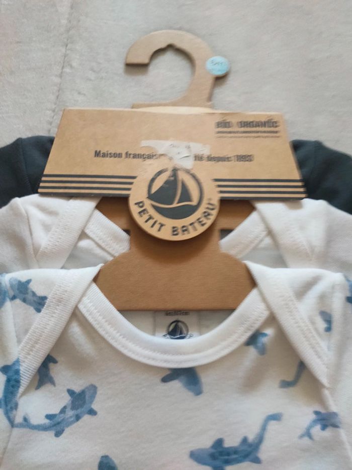 Lot de 3 body manches courtes petit bateau bio 6 mois - photo numéro 2