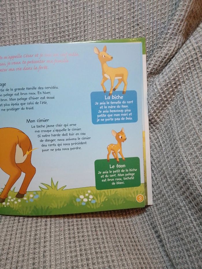 Le cerf + 2 figurines - série "Je vis dans la forêt" N.1 / Ed. Altaya - photo numéro 6
