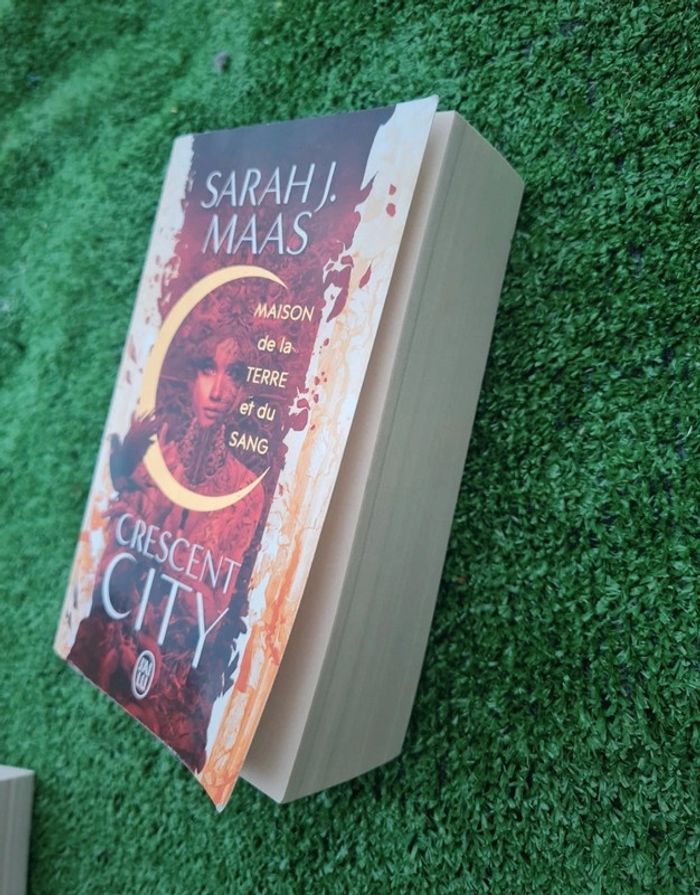 Crescent City - maison de la terre et du sang - Sarah J. Maas - photo numéro 3