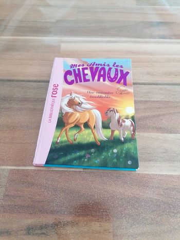 Livres les amis les chevaux une rencontre inoubliable
