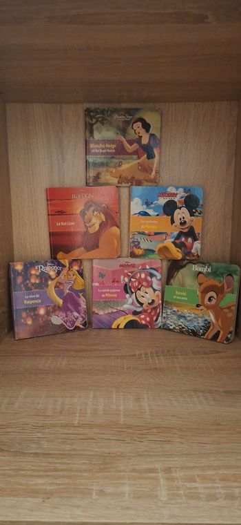 Lot 7 petit livre disney