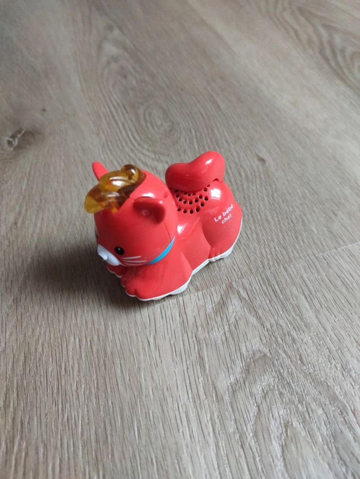 Paprika le bébé chat - photo numéro 2