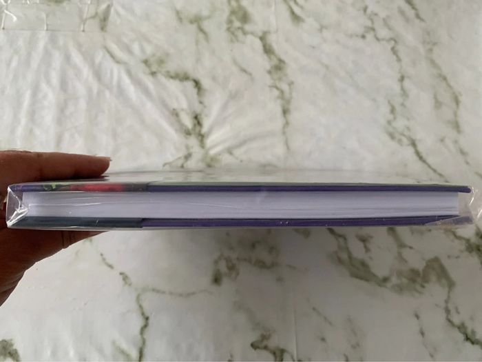 Notebook lenticulaire Disney Villains - photo numéro 4