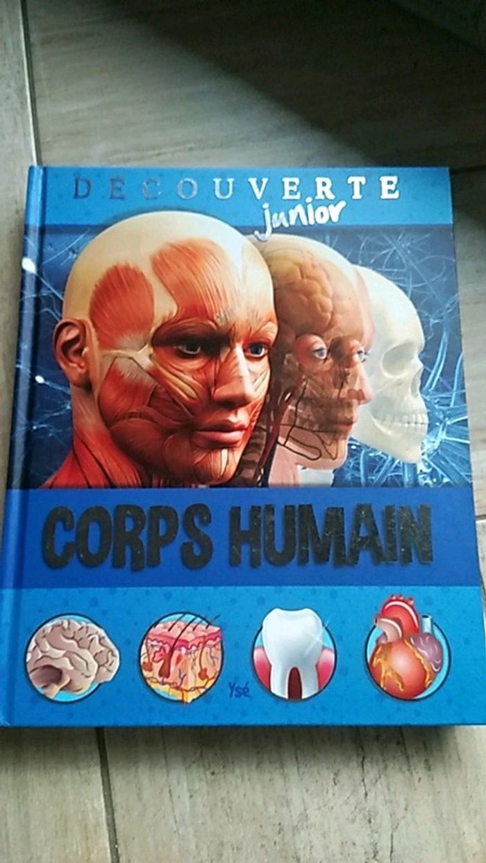Corps humain