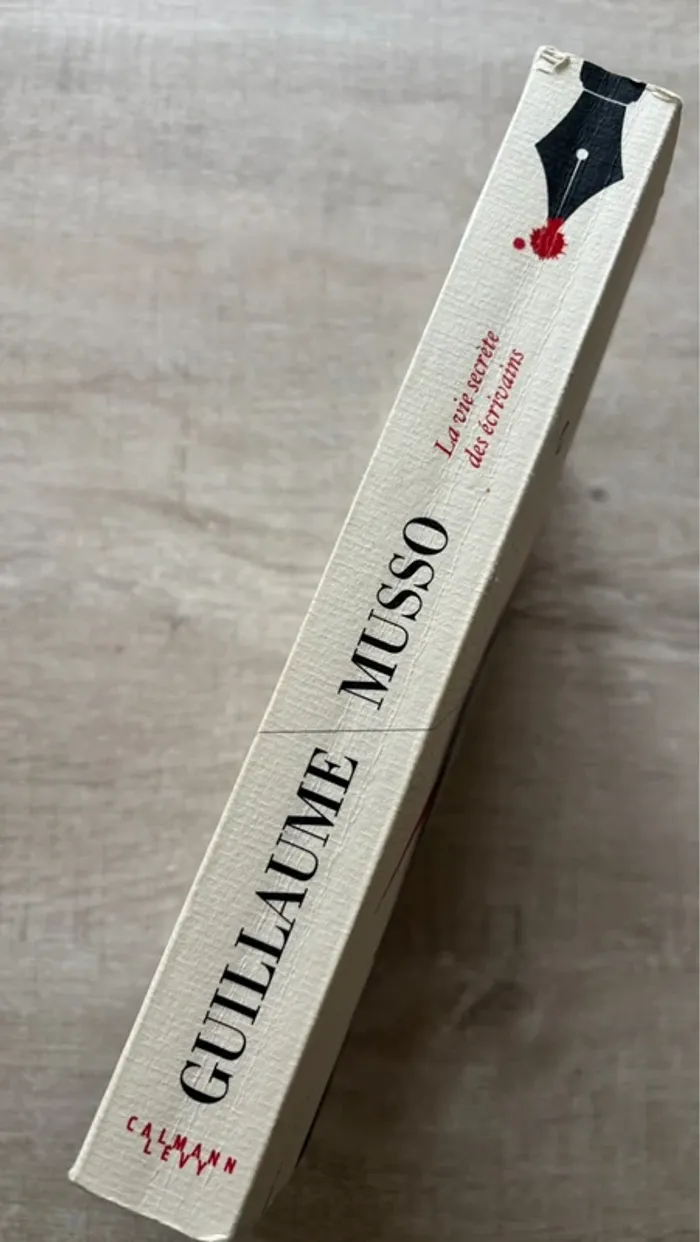 La vie secrète des écrivains - Guillaume MUSSO - photo numéro 2