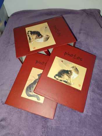 Coffret 2 Album photos chats art gallery forme livre avec estampes chinoises chen dehong