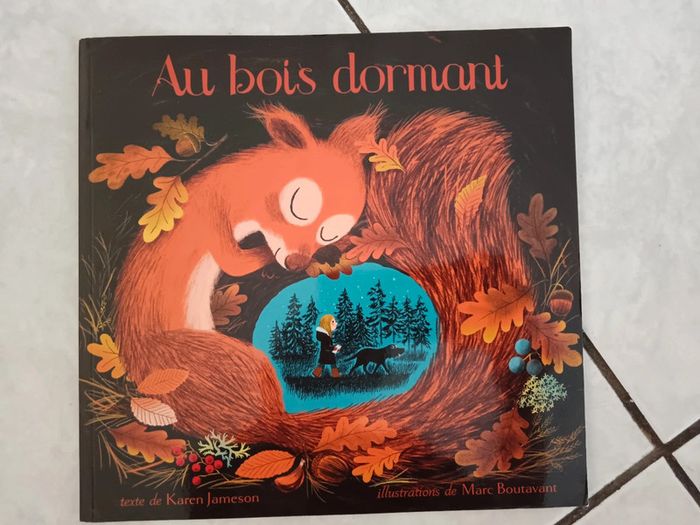 Lot de 5 livres enfants - photo numéro 6