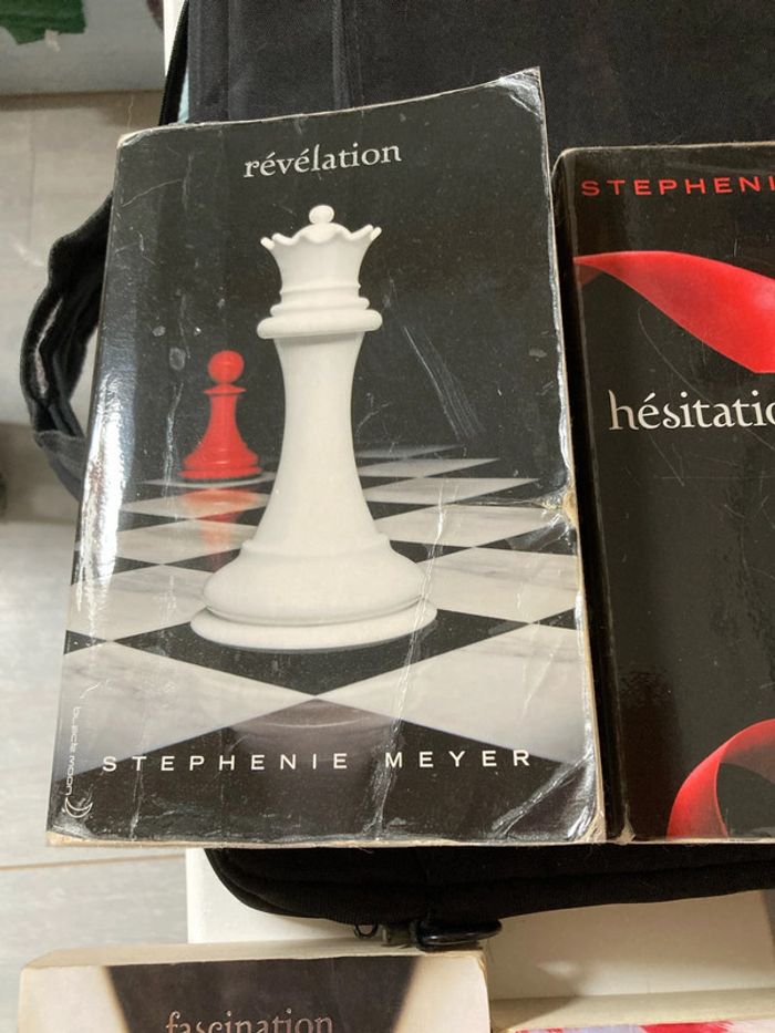 Lot 4 livres twilight - photo numéro 3