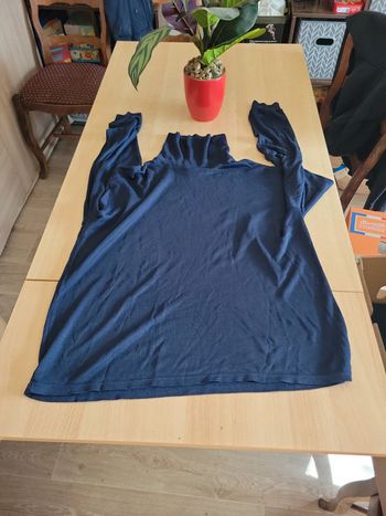 Sous pull/Tee shirt manches longues col roule