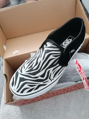 Magnifiques vans, neuves