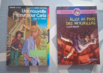 📚 Lot de 2 livres jeunesse - Comme neufs 📚