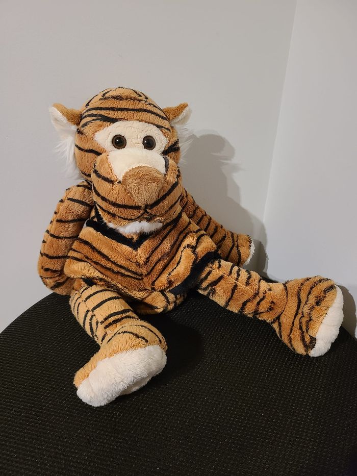 tigre - photo numéro 2