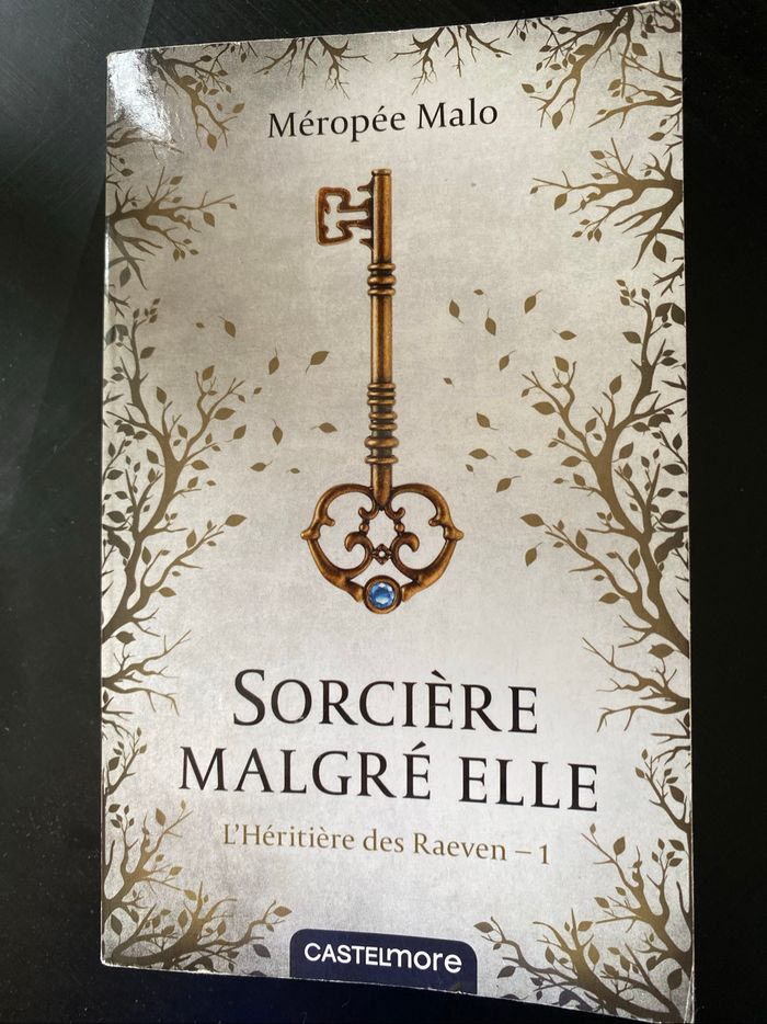 Saga l’héritière des Ravens - photo numéro 2