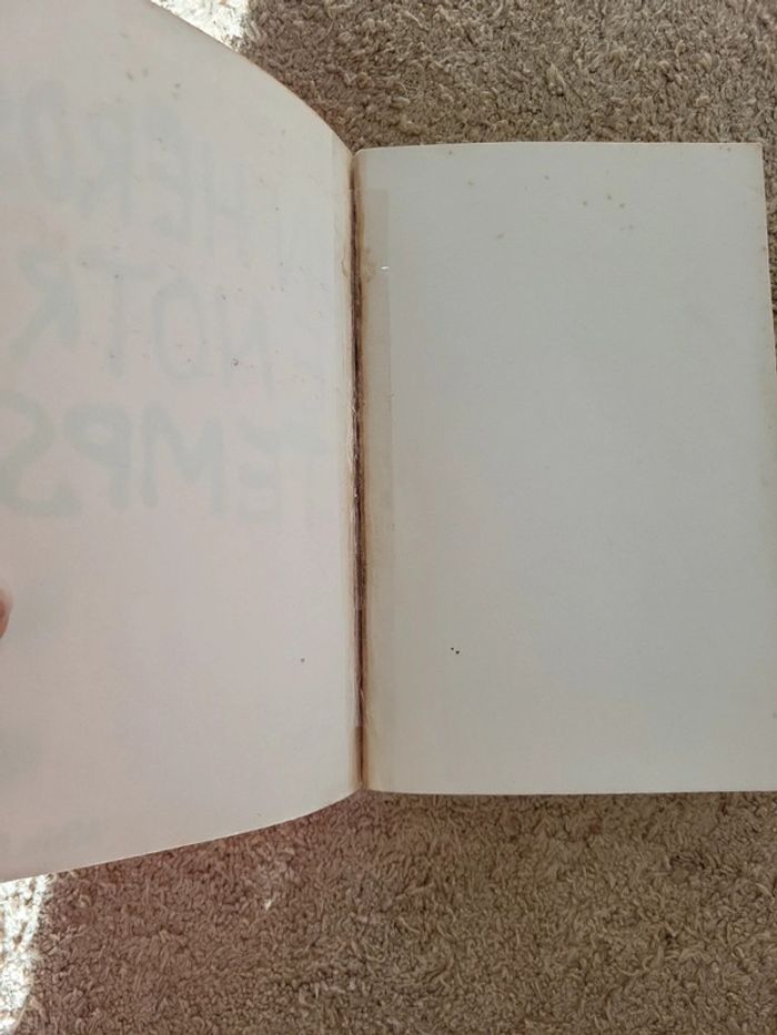 Un héros de notre temps de Maurice Toesca - Réflexion sociale et politique - photo numéro 8