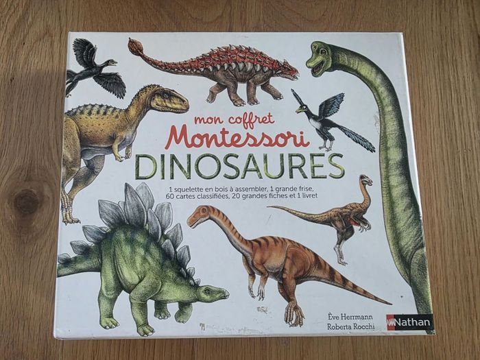 Coffret Montessori Dinosaure Nathan (pas complet)