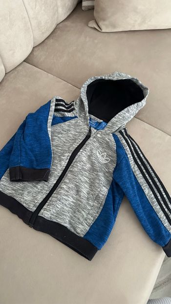 Veste adidas bébé