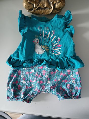 BARBOTEUSE OISEAU DPAM