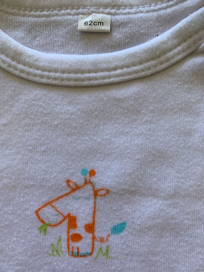 Lot 7 bodies 3-6 mois - photo numéro 2