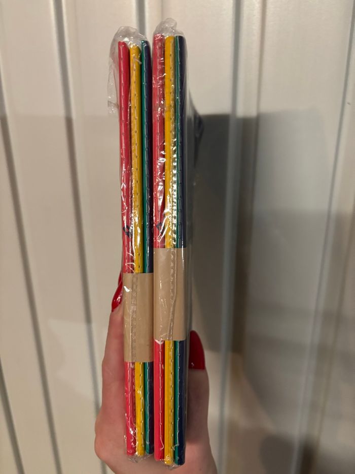 Lot de 6 cahiers A5 la chaise longue - photo numéro 2