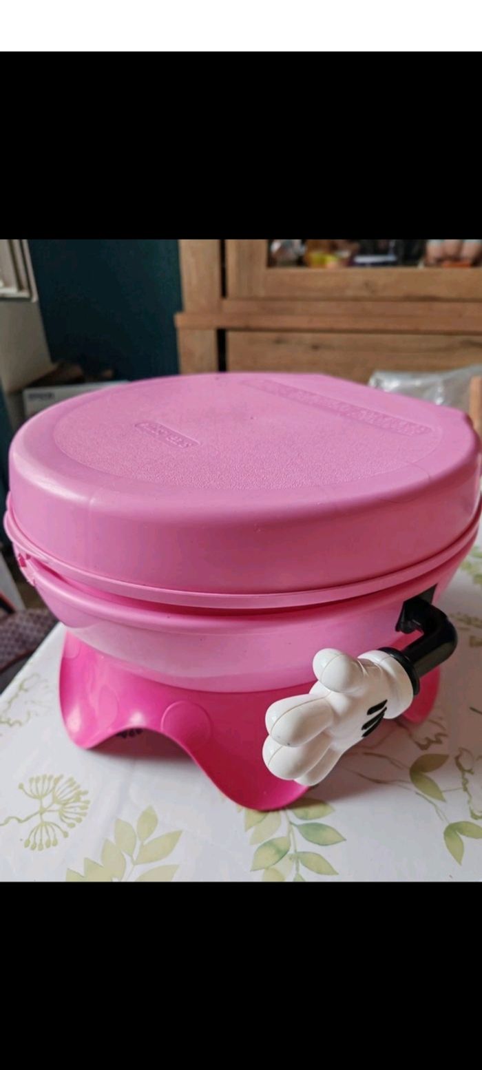 Pot Minnie - photo numéro 3