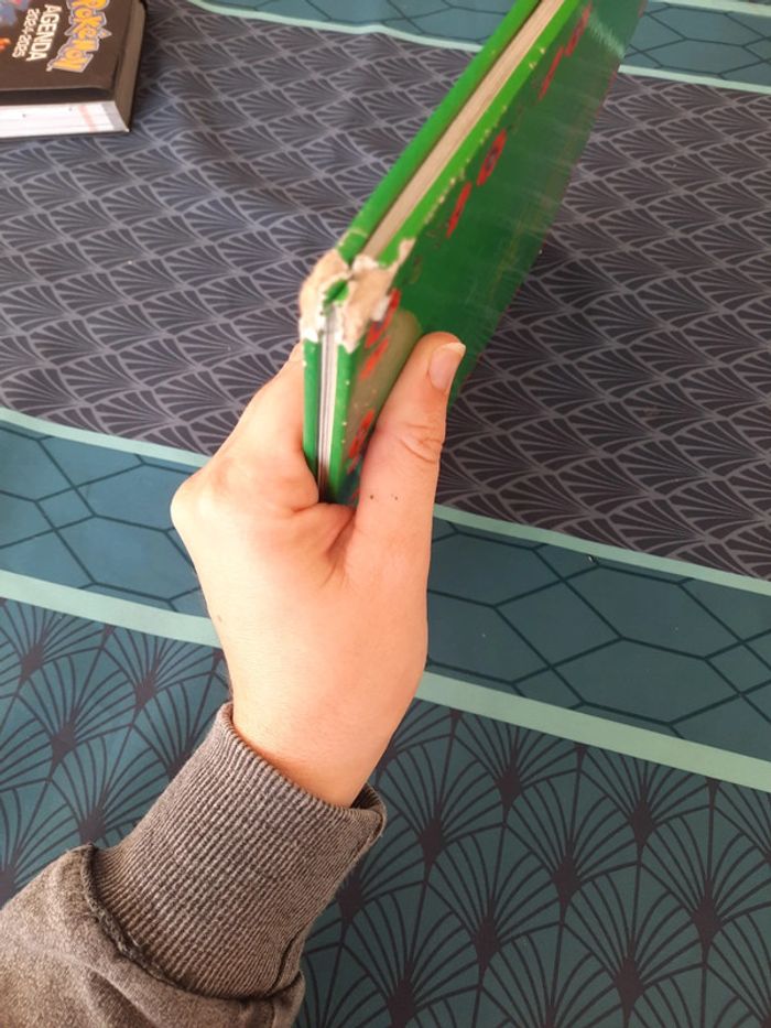 Poucette de Hans Christian Andersen - photo numéro 6