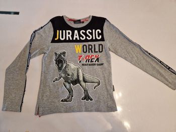 Tee shirt manche longue jurassic world