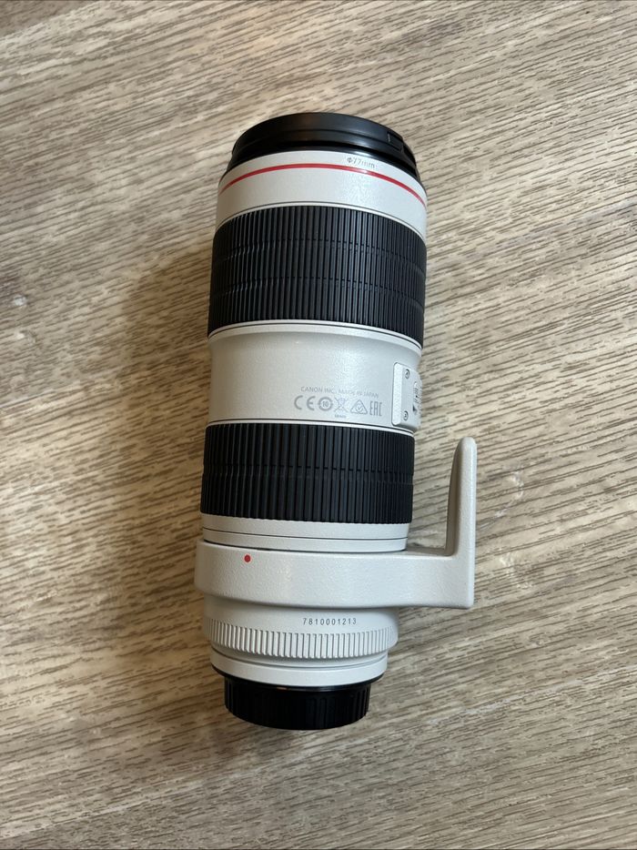 Objectif Canon EF 70-200 mm F2,8 L IS USM Mark III - photo numéro 2