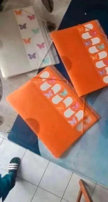 3  pochettes  plastique