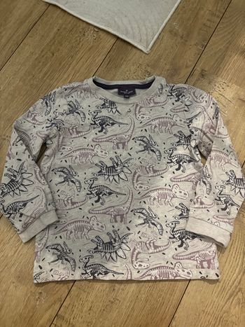 T-shirt manches longues dinosaure 5 ans 
