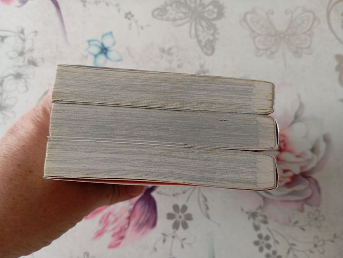 Lot de 3 mangas demon slayer - photo numéro 5