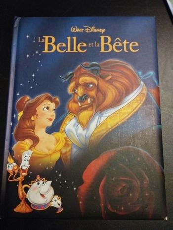 Livre Disney grand format la belle et la bête