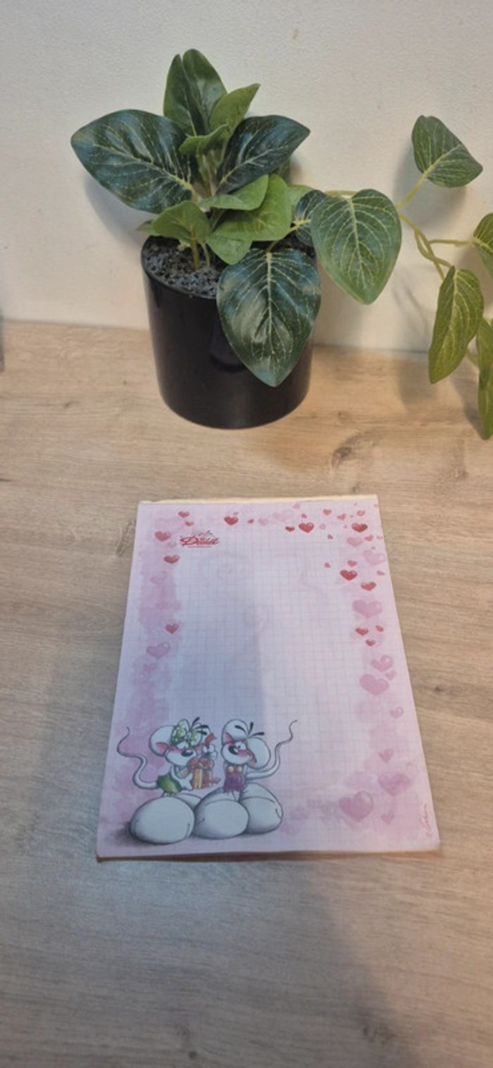 Carnet de feuilles diddl