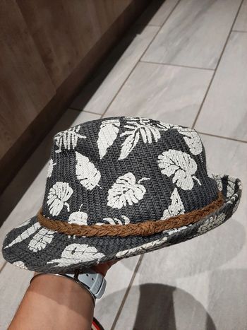Chapeau panama